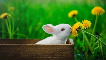 爱游戏下载_ 与众不同的赛事体验：如何打造特色赛事，爱游戏官网网页