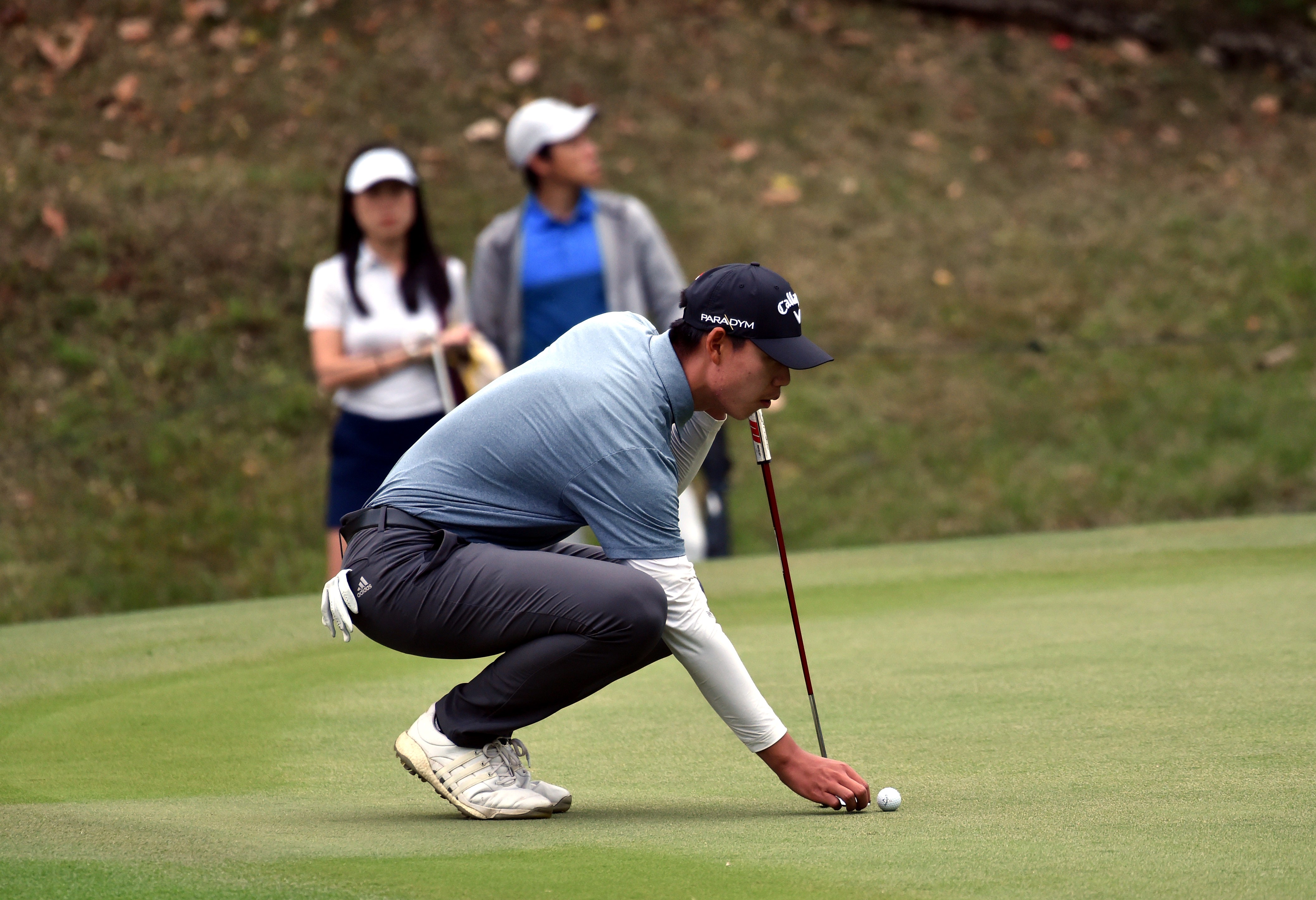 关于迷你高尔夫锦标赛：细腻中的精彩瞬间的信息