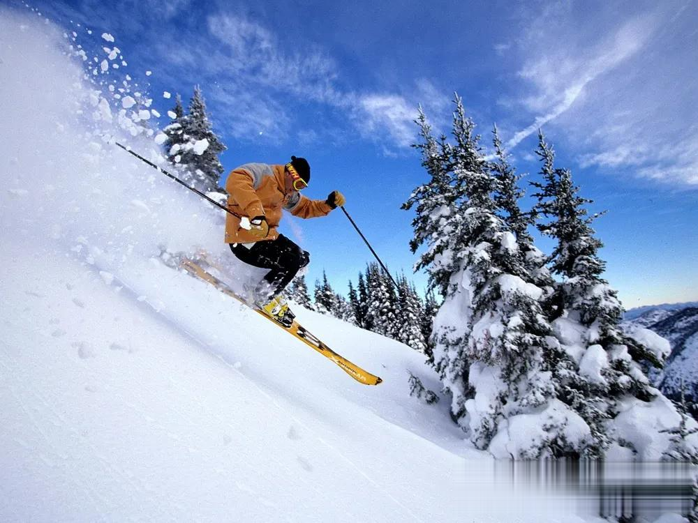 野外生存挑战赛,锻炼应变能力的极限运动的简单介绍 野外生存挑战赛,锻炼应变能力的极限运动的简单介绍