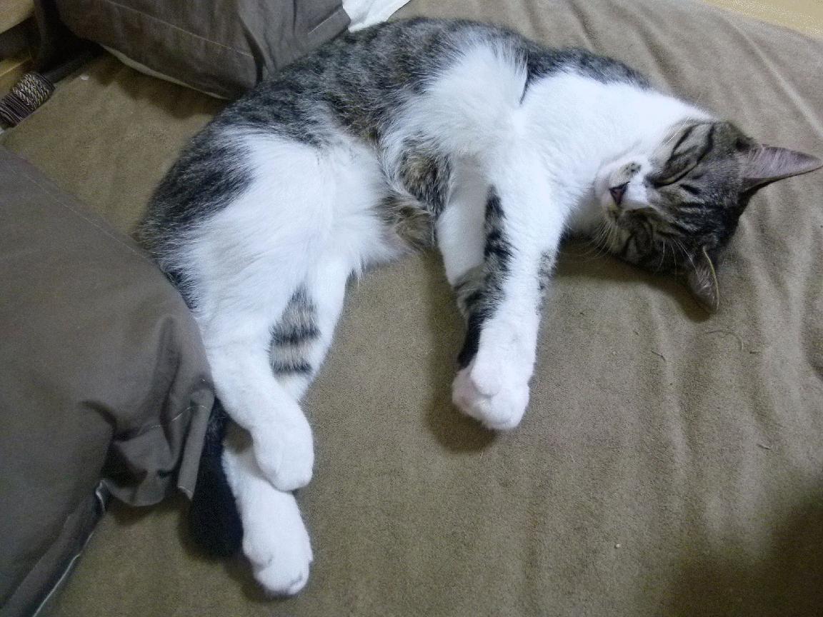 _赛事精彩瞬间汇总：逆转、破纪录瞬间一网打尽_，总决赛逆转