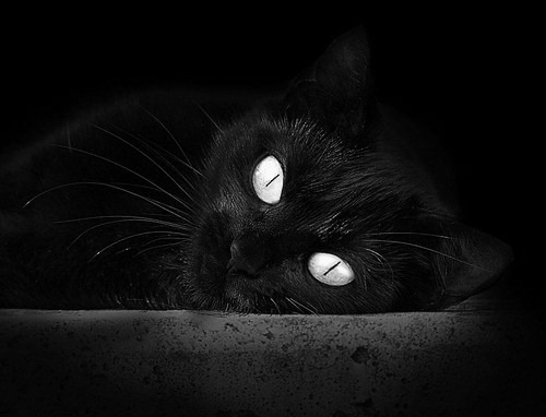 _赛前心理调节：运动员如何保持最佳状态_，试述运动员如何克服赛前心理紧张的方法