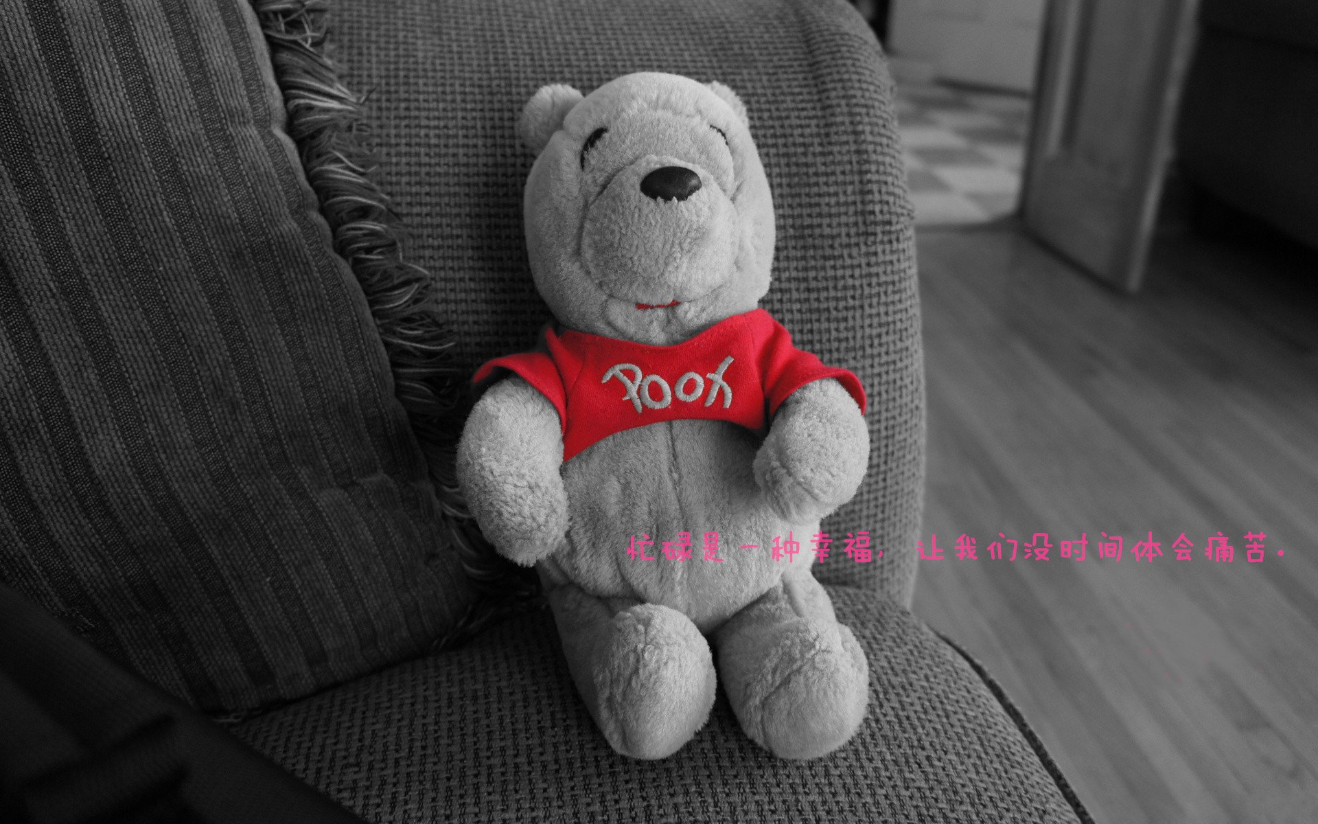 传奇球星的“新使命”:从球场到公益的全面转型,球星公司