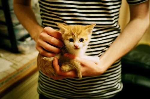 技惊四座！阿根廷中场长传助攻破门，阿根廷中场球员