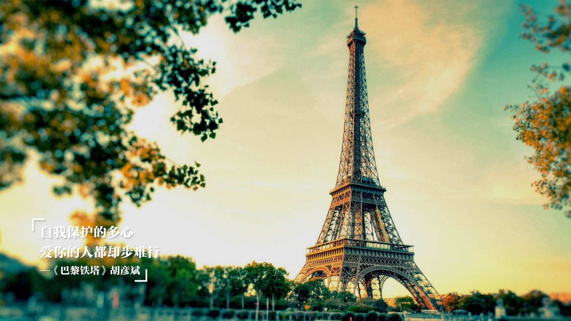 报道美国游泳选手在奥运会上取得第八枚金牌的历史性成就，彰显其卓越表现。