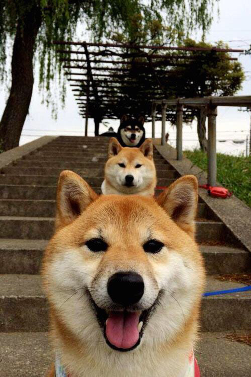 未来联盟：引入AI战术分析，比赛智能化再飞跃！，新未来联盟