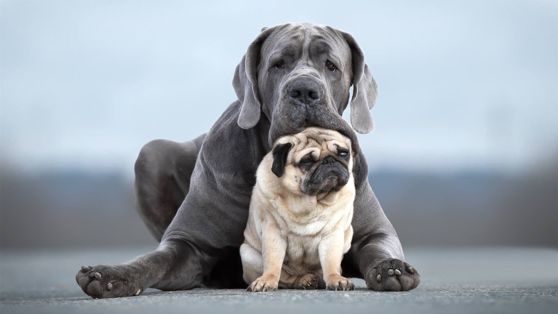 瑞士球员用滑雪动作过人,解说员笑出声,瑞士滑雪的基本概况