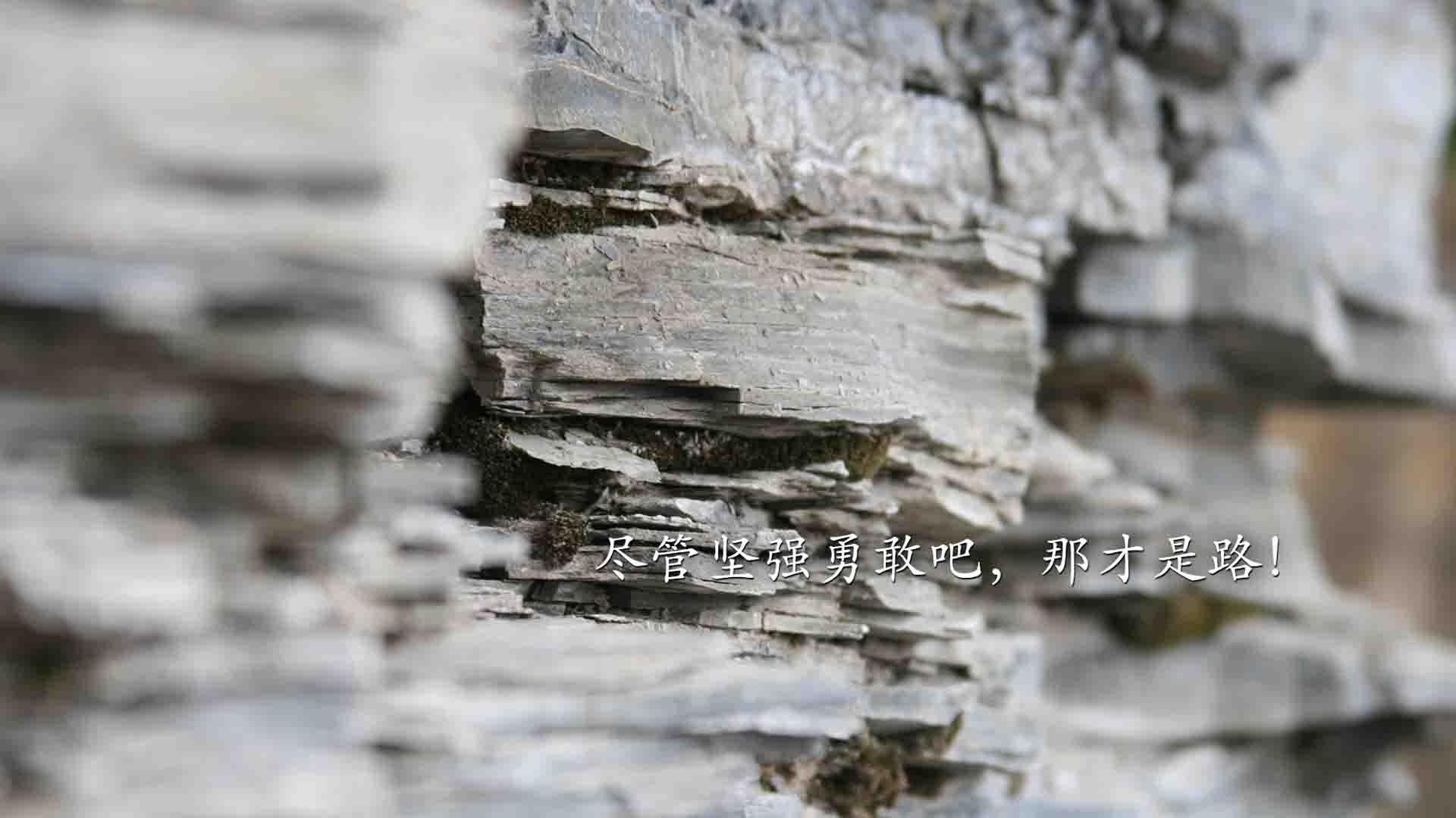 英雄联盟 赛后采访引发热议 TheShy谈关键对局，英雄联盟s11采访