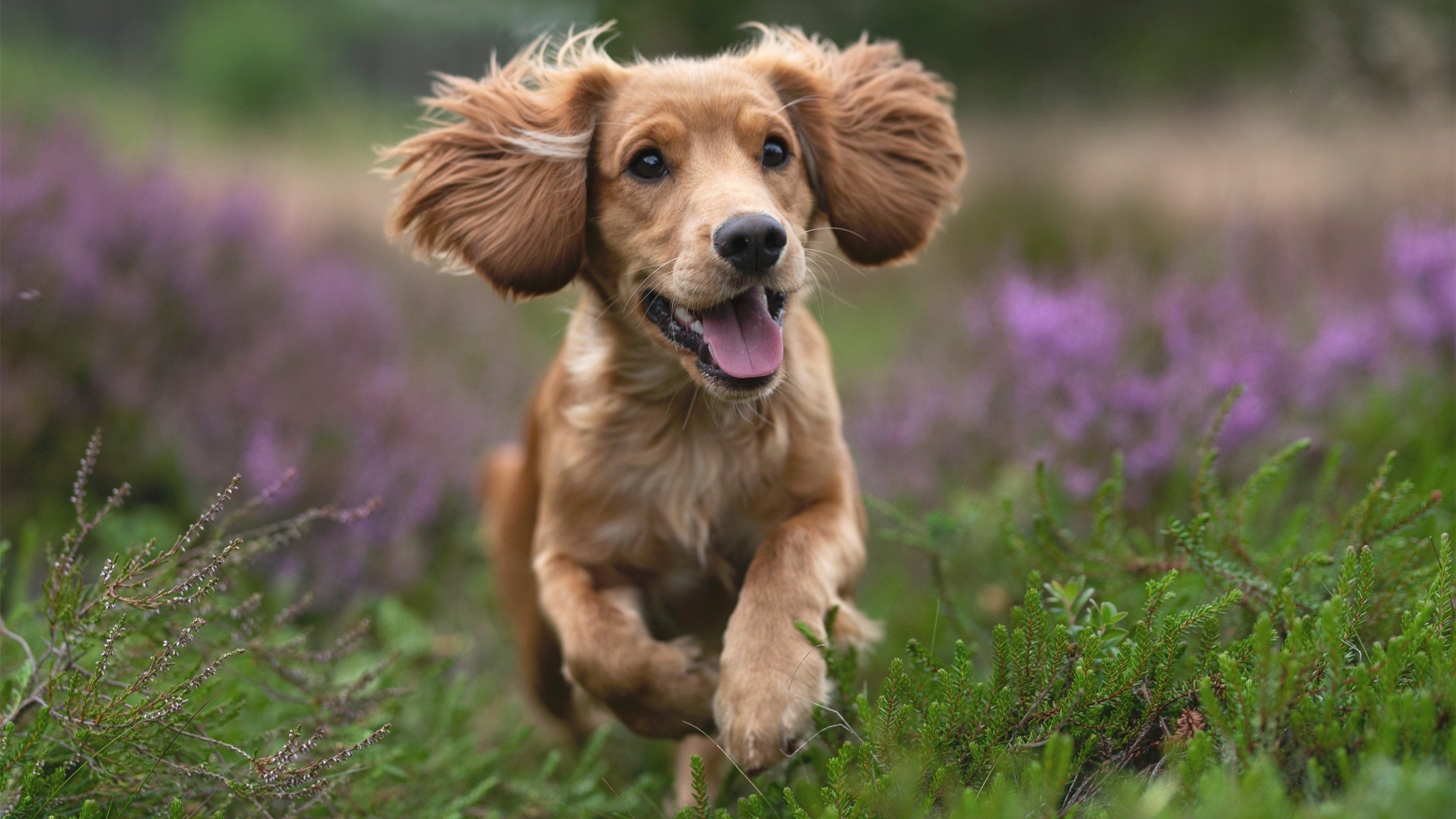 英雄联盟 赛季中期战况复杂多变，英雄联盟端游赛季