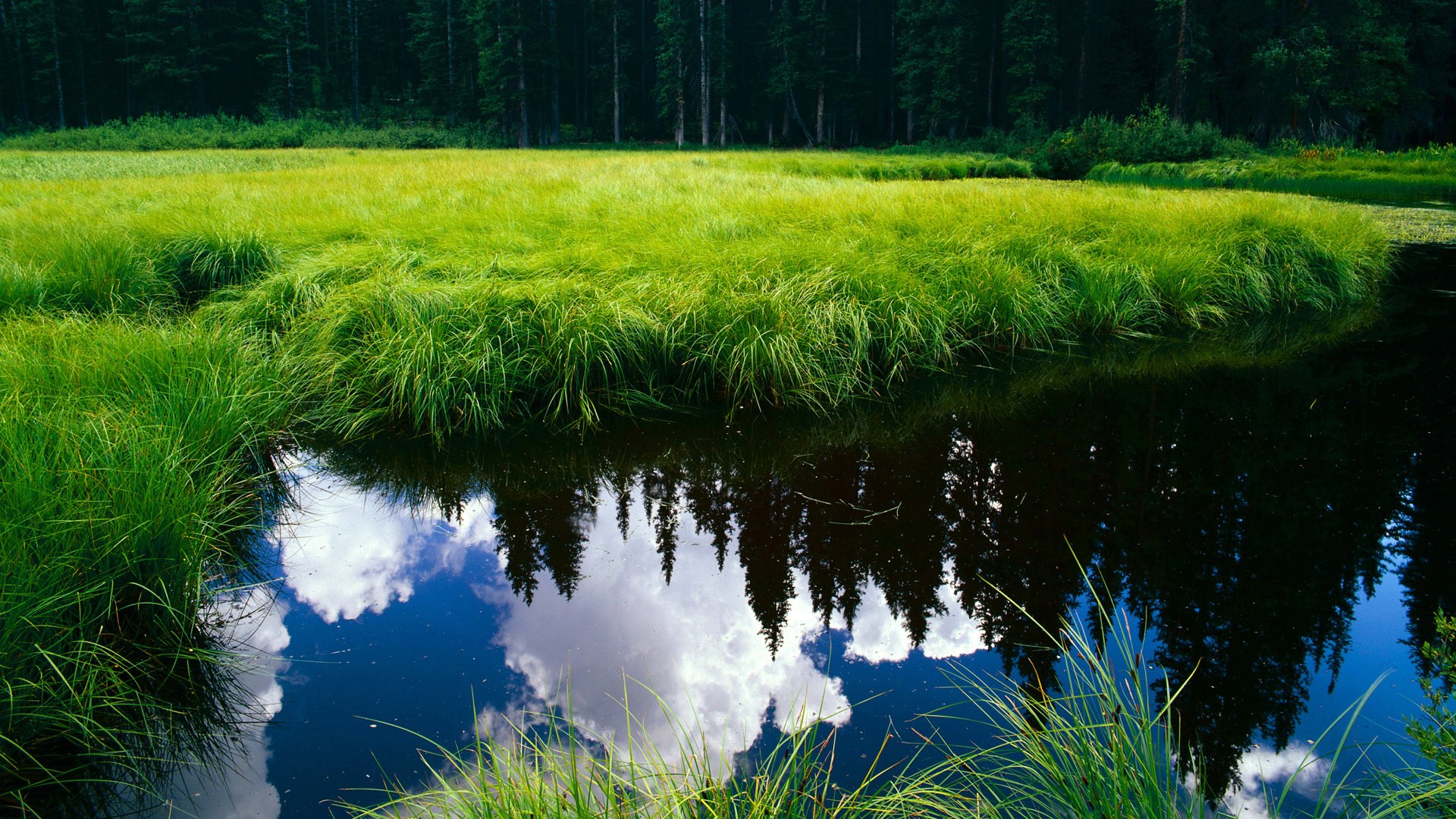 赛季最佳“厨师”助攻：传球技巧的极致展示