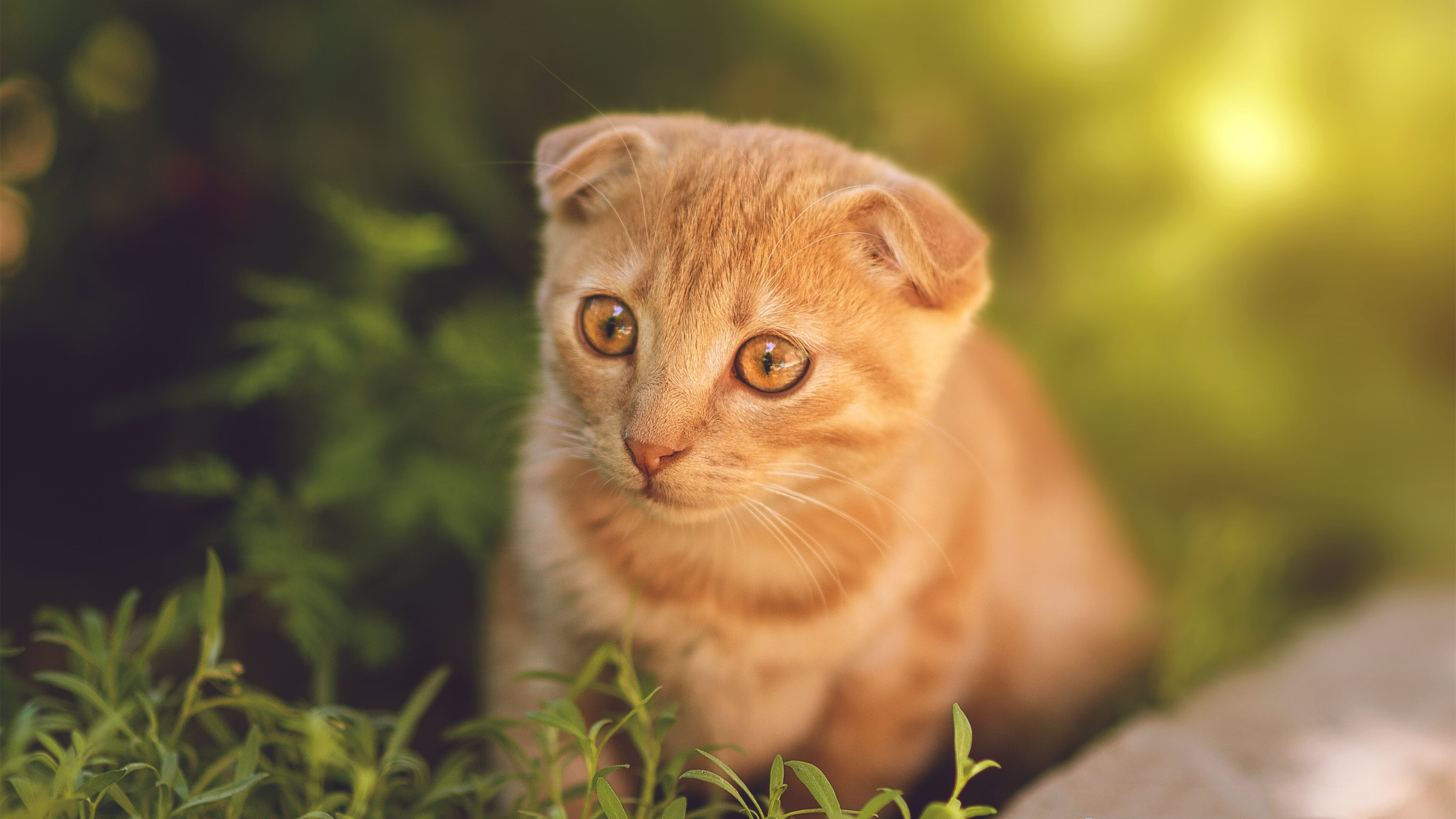 逆境战斗：那些用信念逆天改命的球队，逆境战场