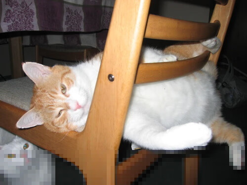 中国足球联赛战况异常激烈,各队球员全力以赴,中国足球队比赛情况