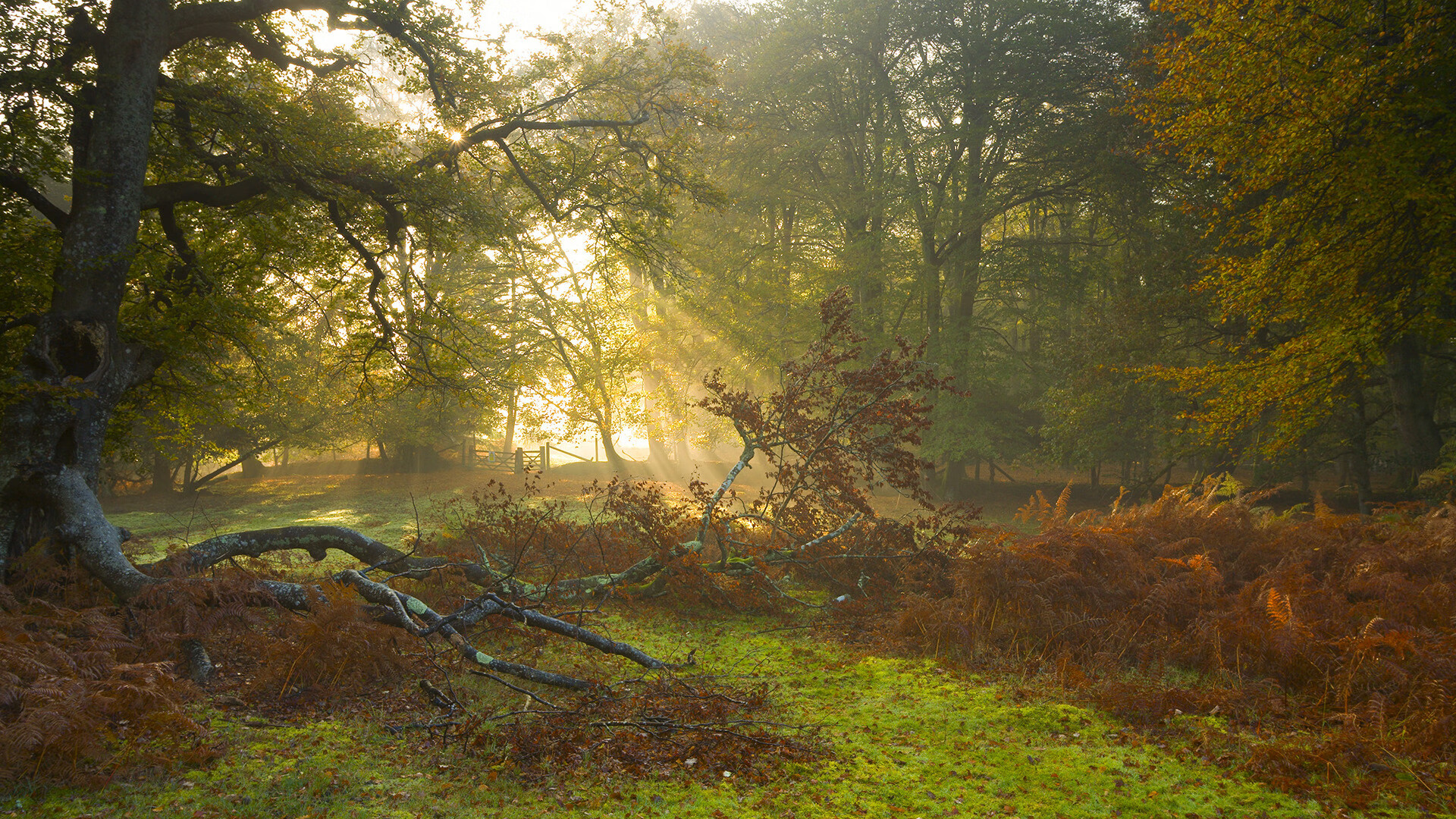 逆转乒乓球老将绝境翻盘，乒乓球史上最大逆转