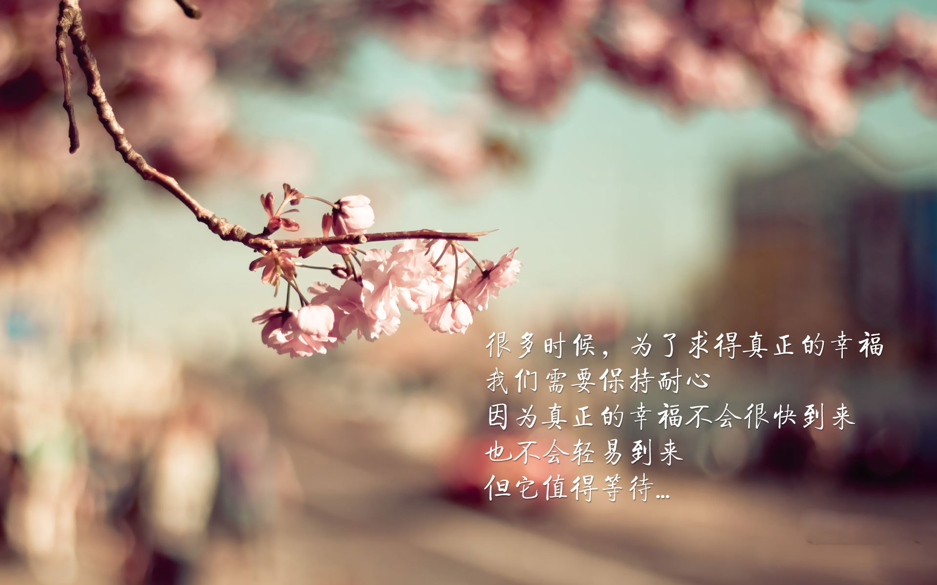 逆转体操个人全能压哨反超封王，逆转训练