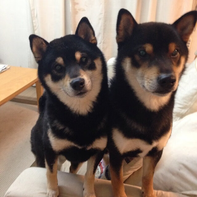 雪地踢球也这么猛?墨西哥队把巴西队踢“滑倒”了