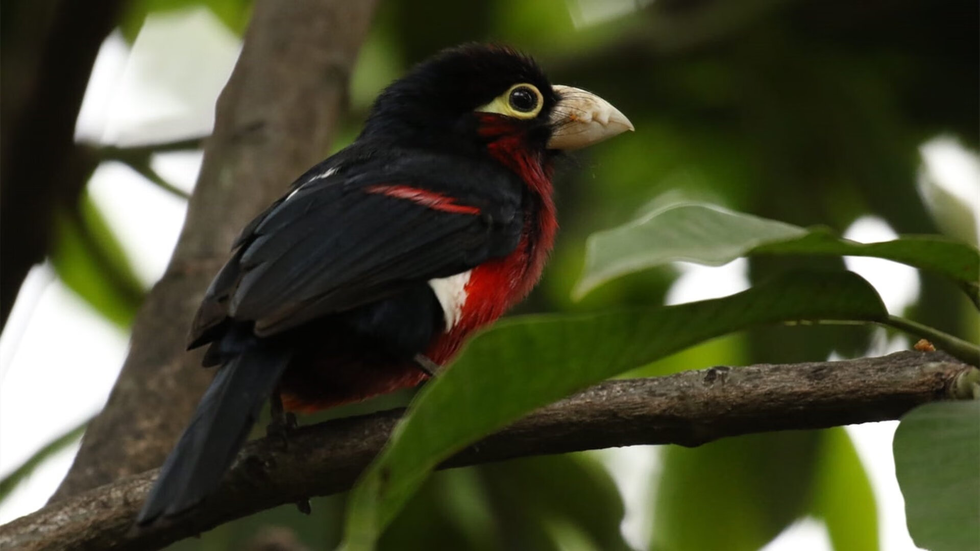 场馆智能维护技术,智慧场馆管理系统