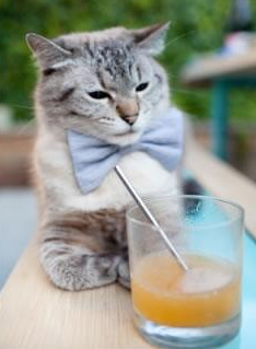 篮球运动员体能与技能协同提升训练体系,篮球运动员体能与技能协同提升训练体系有哪些