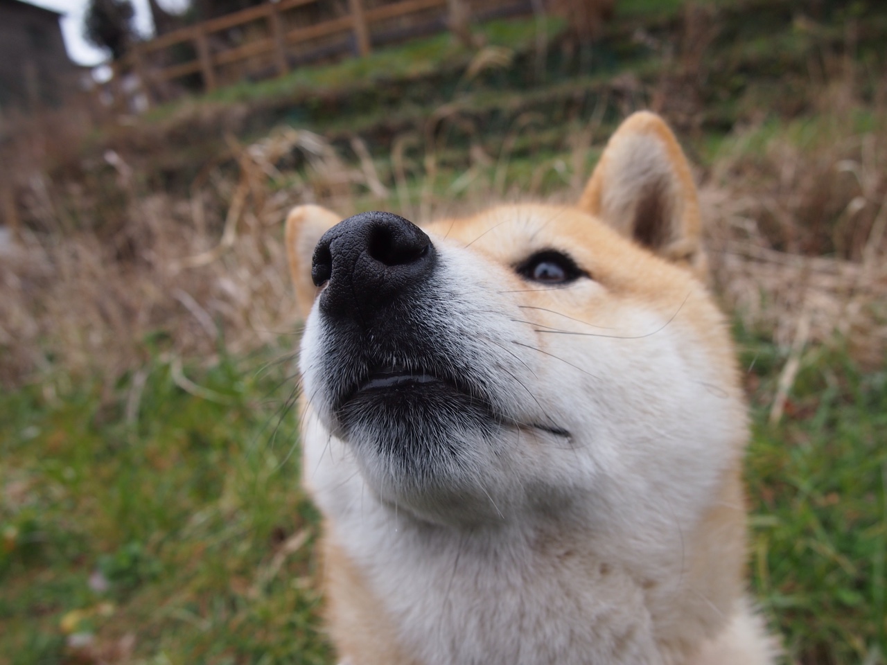 中国三人篮球女队提升节奏切换意识,中国三人篮球女队获得的成绩为