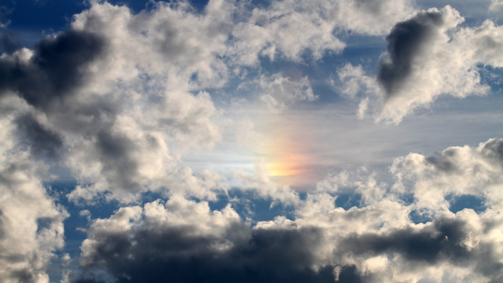 中长距离自由泳表现持续稳定，中长距离游泳和短距离游泳