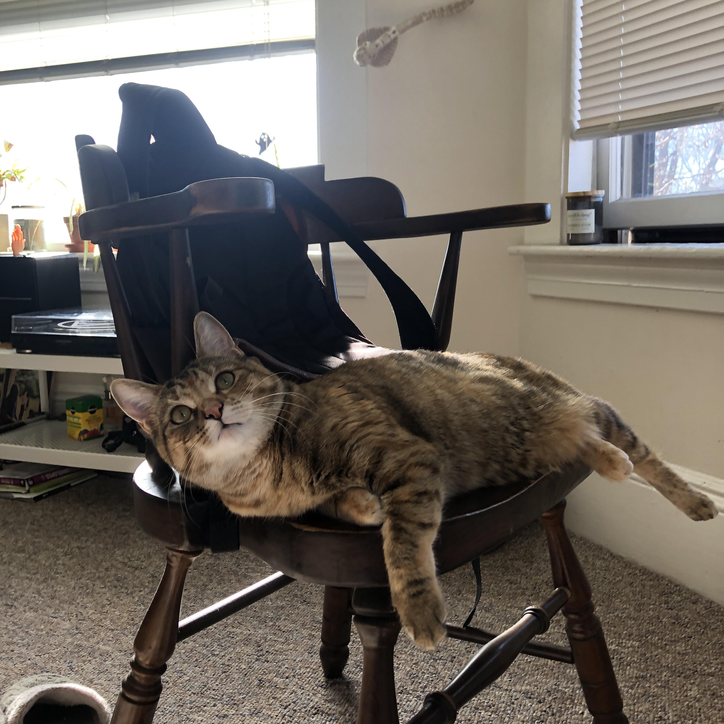 曼城持续构建三线均衡战术体系，曼城3_2曼联