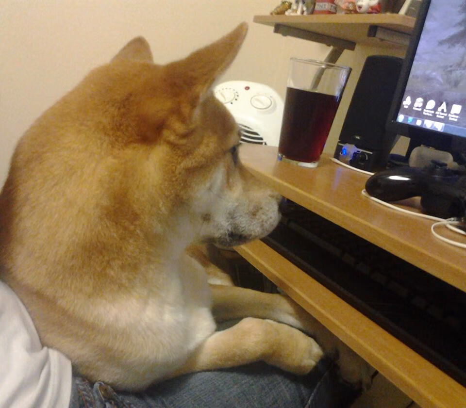 塔特在比赛中展现的高强度压迫防守，为袋鼠队带来优势