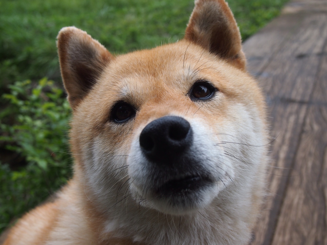 意甲细腻控球：展现足球的艺术魅力，意大利足球控球率