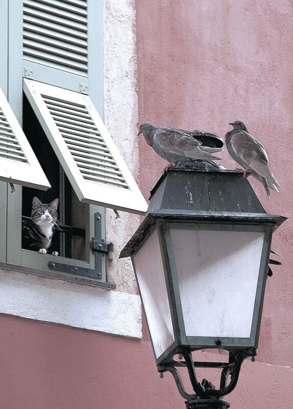 法国队接力配合默契展现实力，法国队接力配合默契展现实力的球员