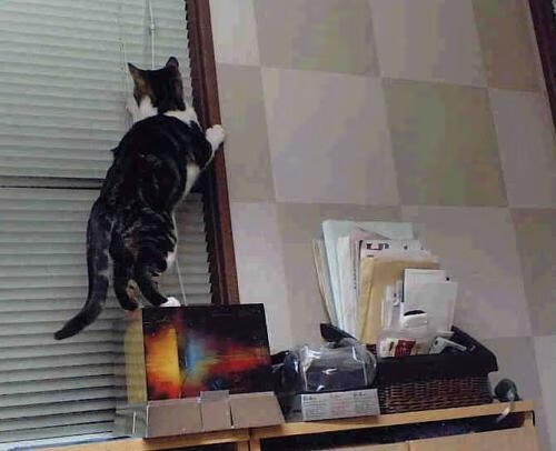 火箭宣布裁员进行阵容瘦身计划,火箭签约最新消息