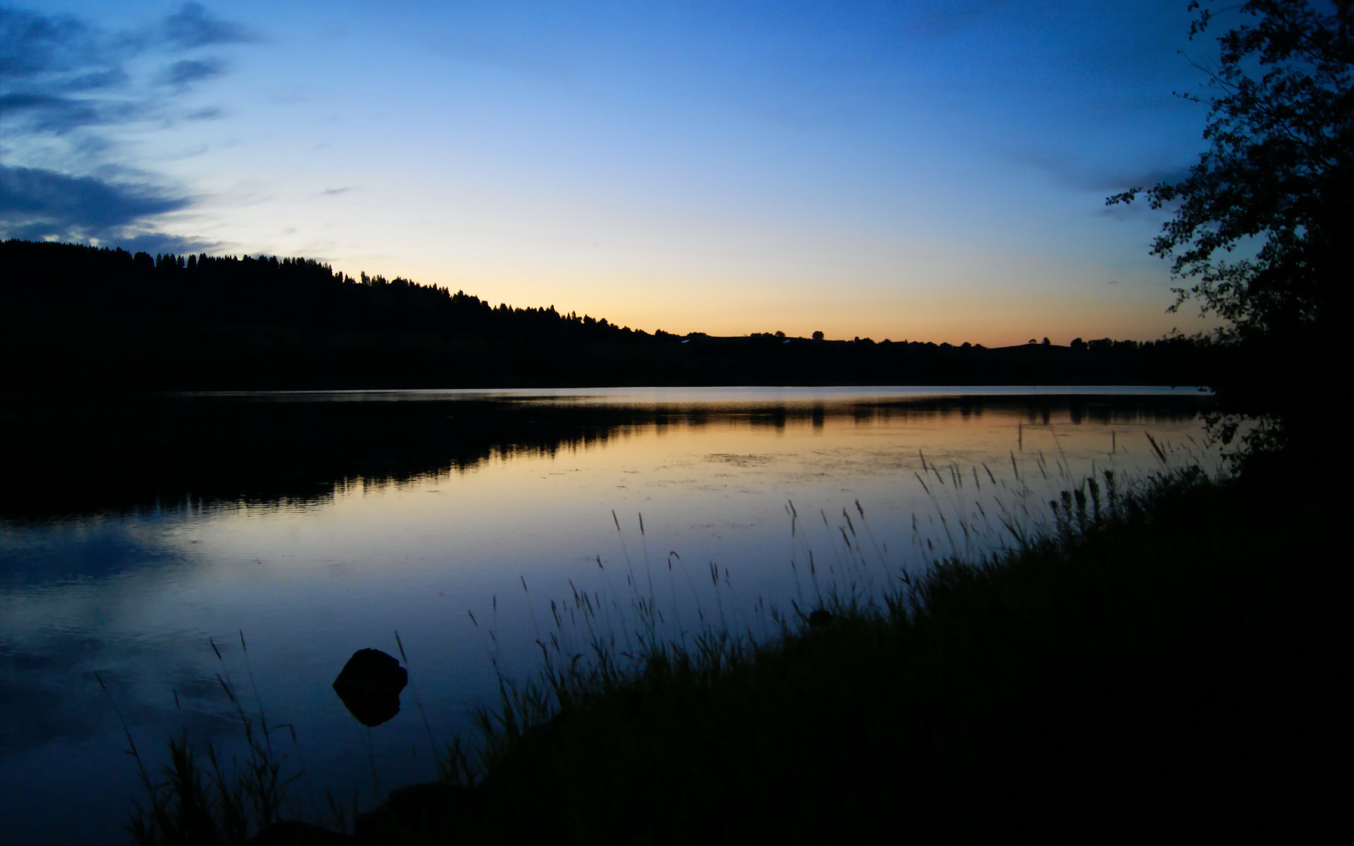 老鹰关键球员伤愈复出阵容逐渐完整，老鹰球员受伤